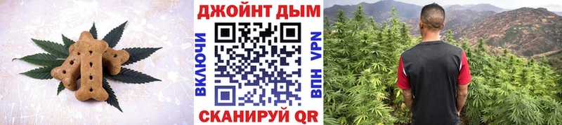 маркетплейс официальный сайт  где можно купить наркотик  Новотроицк  Cannafood марихуана 