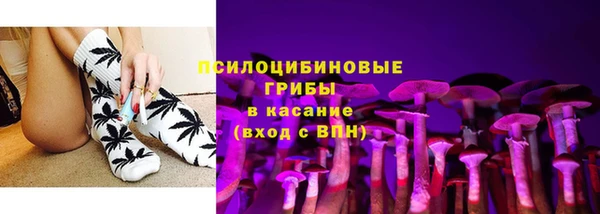 спиды Абаза