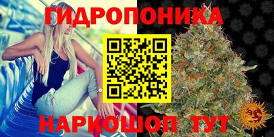 шишки Среднеуральск