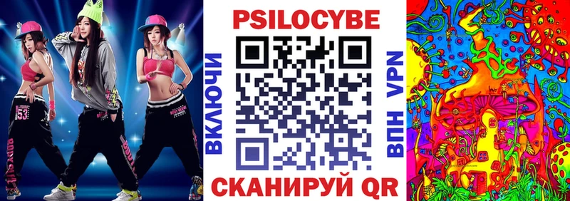 Галлюциногенные грибы Psilocybe  Новотроицк 