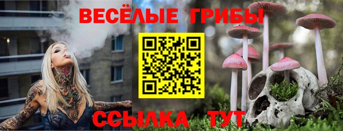 Галлюциногенные грибы мухоморы  Вход с VPN  Новотроицк 